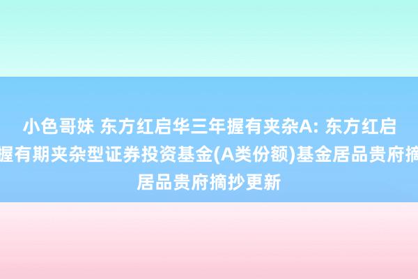 小色哥妹 东方红启华三年握有夹杂A: 东方红启华三年握有期夹杂型证券投资基金(A类份额)基金居品贵府摘抄更新