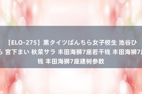 【ELO-275】黒タイツぱんちら女子校生 池谷ひかる さくら 宮下まい 秋菜サラ 丰田海狮7座若干钱 丰田海狮7座建树参数