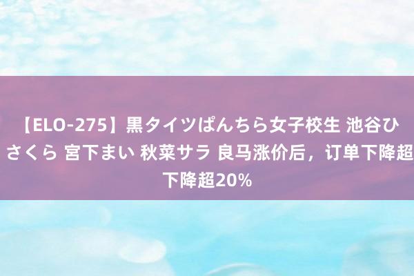 【ELO-275】黒タイツぱんちら女子校生 池谷ひかる さくら 宮下まい 秋菜サラ 良马涨价后，订单下降超20%