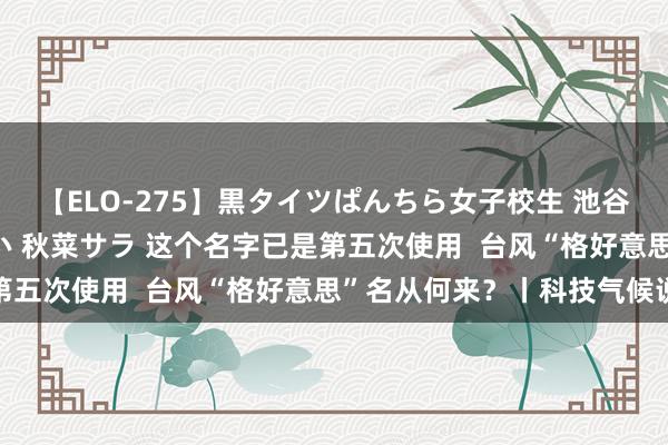 【ELO-275】黒タイツぱんちら女子校生 池谷ひかる さくら 宮下まい 秋菜サラ 这个名字已是第五次使用  台风“格好意思”名从何来？丨科技气候说