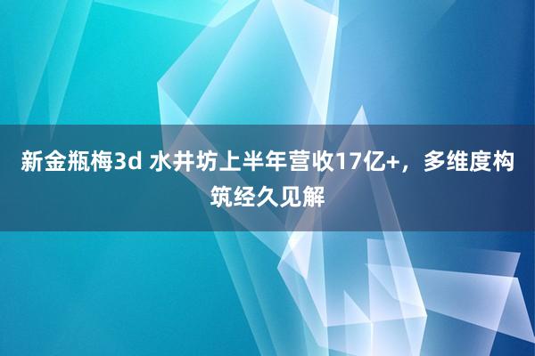 新金瓶梅3d 水井坊上半年营收17亿+，多维度构筑经久见解