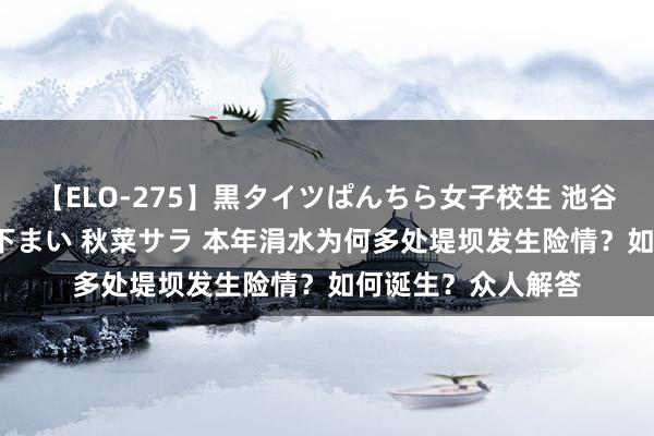 【ELO-275】黒タイツぱんちら女子校生 池谷ひかる さくら 宮下まい 秋菜サラ 本年涓水为何多处堤坝发生险情？如何诞生？众人解答