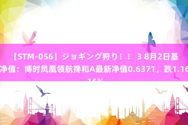 【STM-056】ジョギング狩り！！ 3 8月2日基金净值：博时凤凰领航搀和A最新净值0.6371，跌1.16%