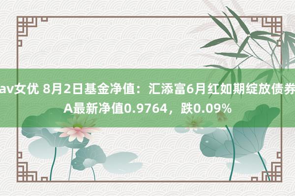 av女优 8月2日基金净值：汇添富6月红如期绽放债券A最新净值0.9764，跌0.09%