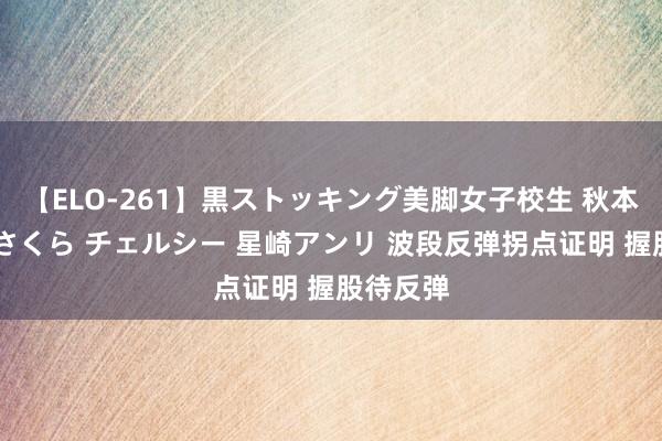 【ELO-261】黒ストッキング美脚女子校生 秋本レオナ さくら チェルシー 星崎アンリ 波段反弹拐点证明 握股待反弹