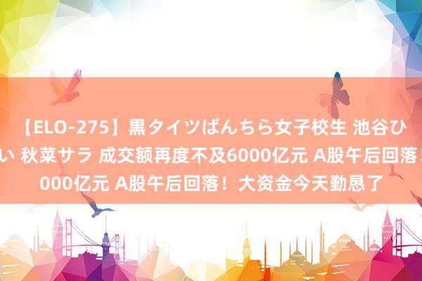 【ELO-275】黒タイツぱんちら女子校生 池谷ひかる さくら 宮下まい 秋菜サラ 成交额再度不及6000亿元 A股午后回落！大资金今天勤恳了