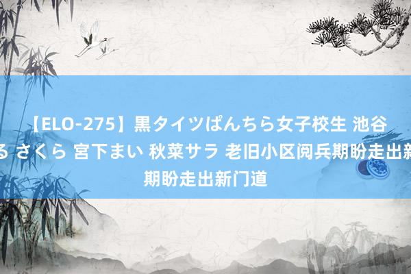 【ELO-275】黒タイツぱんちら女子校生 池谷ひかる さくら 宮下まい 秋菜サラ 老旧小区阅兵期盼走出新门道