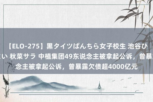 【ELO-275】黒タイツぱんちら女子校生 池谷ひかる さくら 宮下まい 秋菜サラ 中植集团49东说念主被拿起公诉，曾暴露欠债超4000亿元