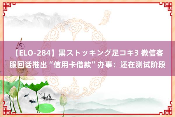 【ELO-284】黒ストッキング足コキ3 微信客服回话推出“信用卡借款”办事：还在测试阶段