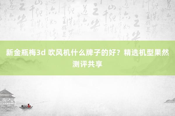 新金瓶梅3d 吹风机什么牌子的好？精选机型果然测评共享