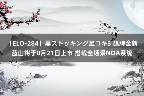 【ELO-284】黒ストッキング足コキ3 魏牌全新蓝山将于8月21日上市 搭载全场景NOA系统