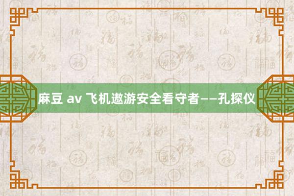 麻豆 av 飞机遨游安全看守者——孔探仪