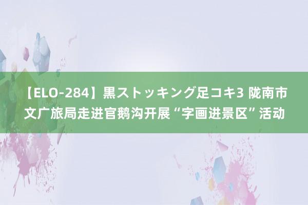 【ELO-284】黒ストッキング足コキ3 陇南市文广旅局走进官鹅沟开展“字画进景区”活动