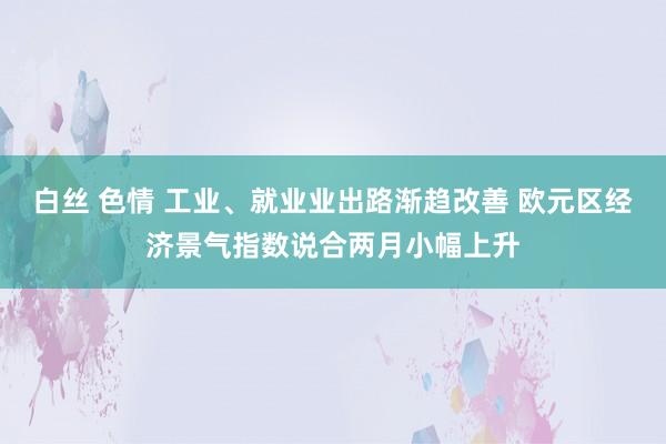 白丝 色情 工业、就业业出路渐趋改善 欧元区经济景气指数说合两月小幅上升