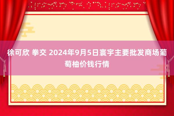 徐可欣 拳交 2024年9月5日寰宇主要批发商场葡萄柚价钱行情